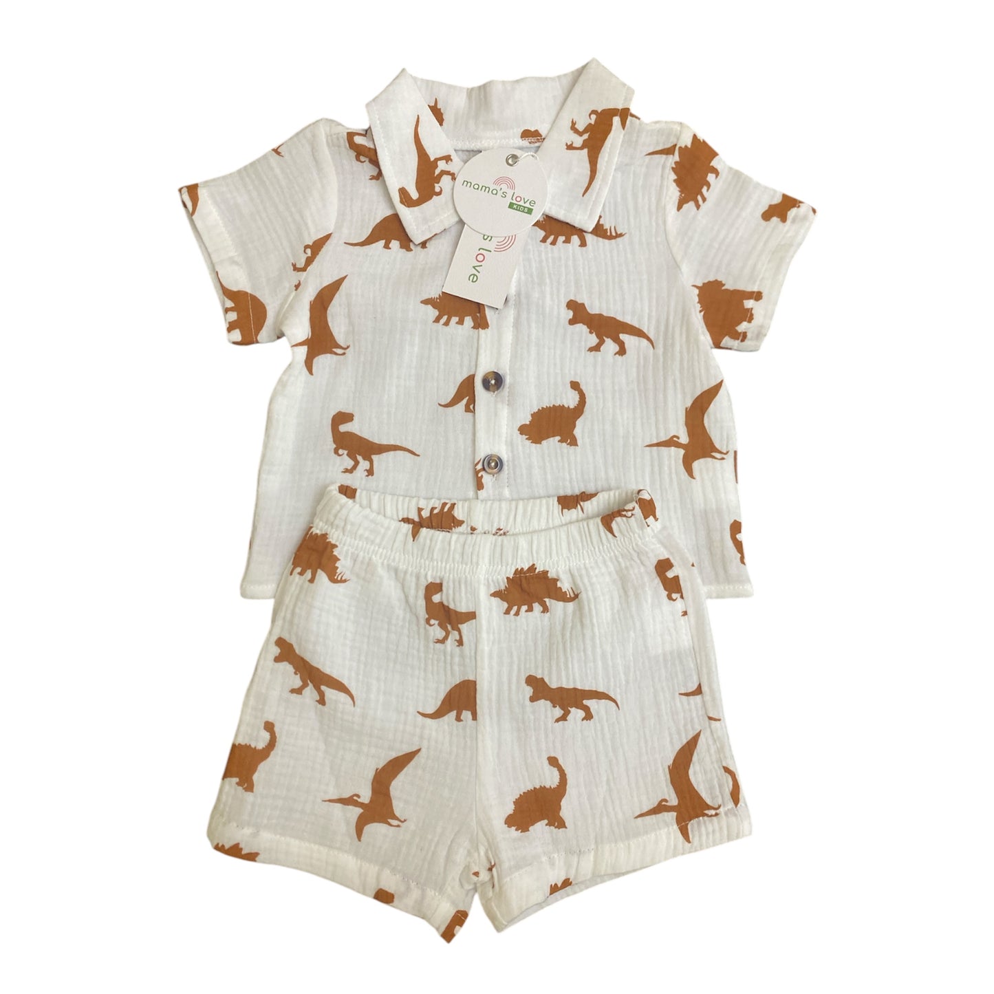 Muslin Dino Coord Set