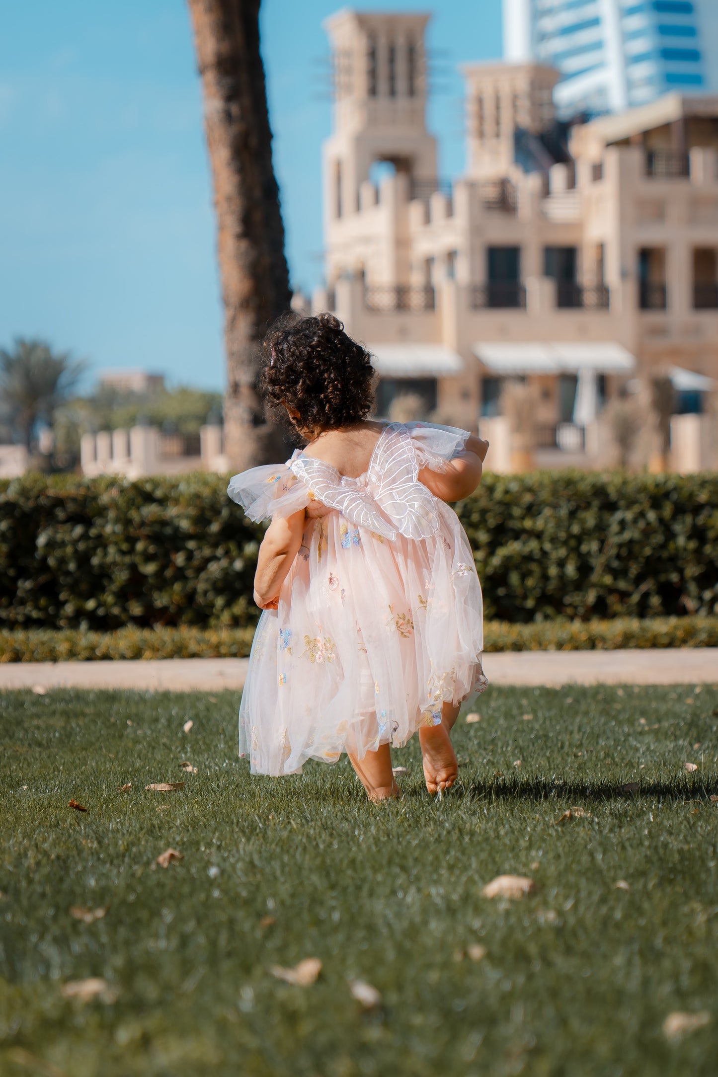 Butterfly Dress with Flower Embroidery - Pink