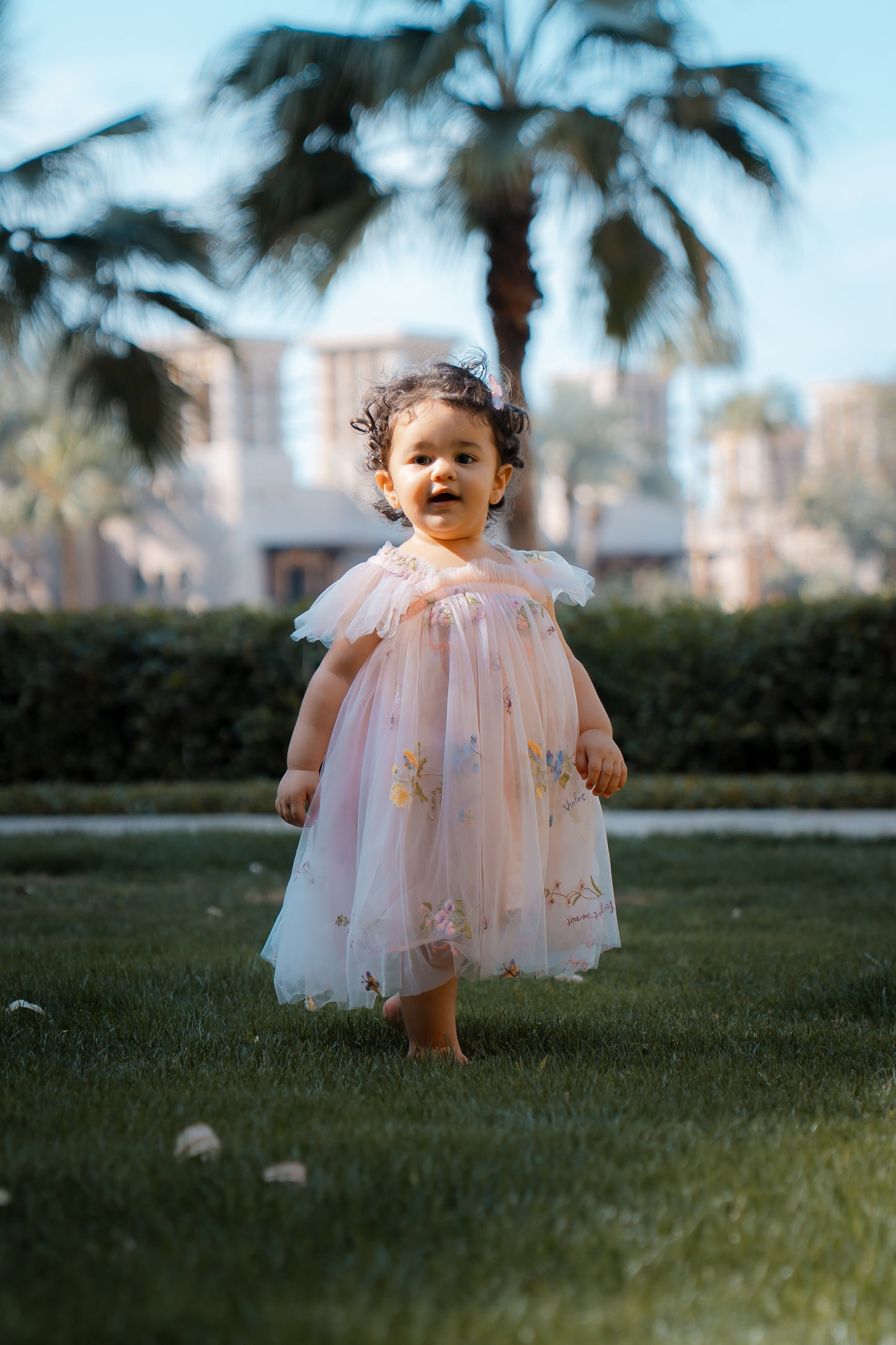 Butterfly Dress with Flower Embroidery - Pink