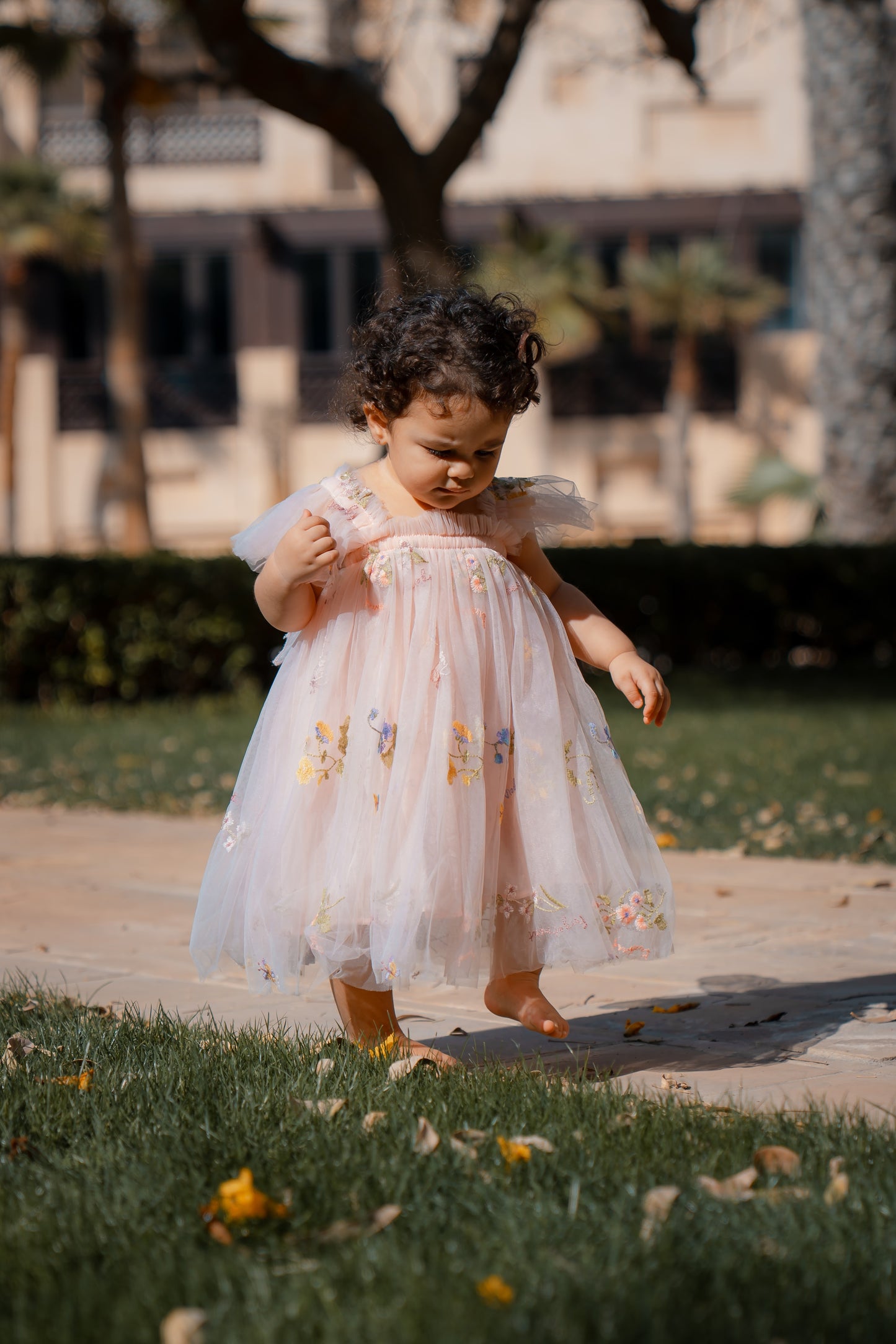 Butterfly Dress with Flower Embroidery - Pink