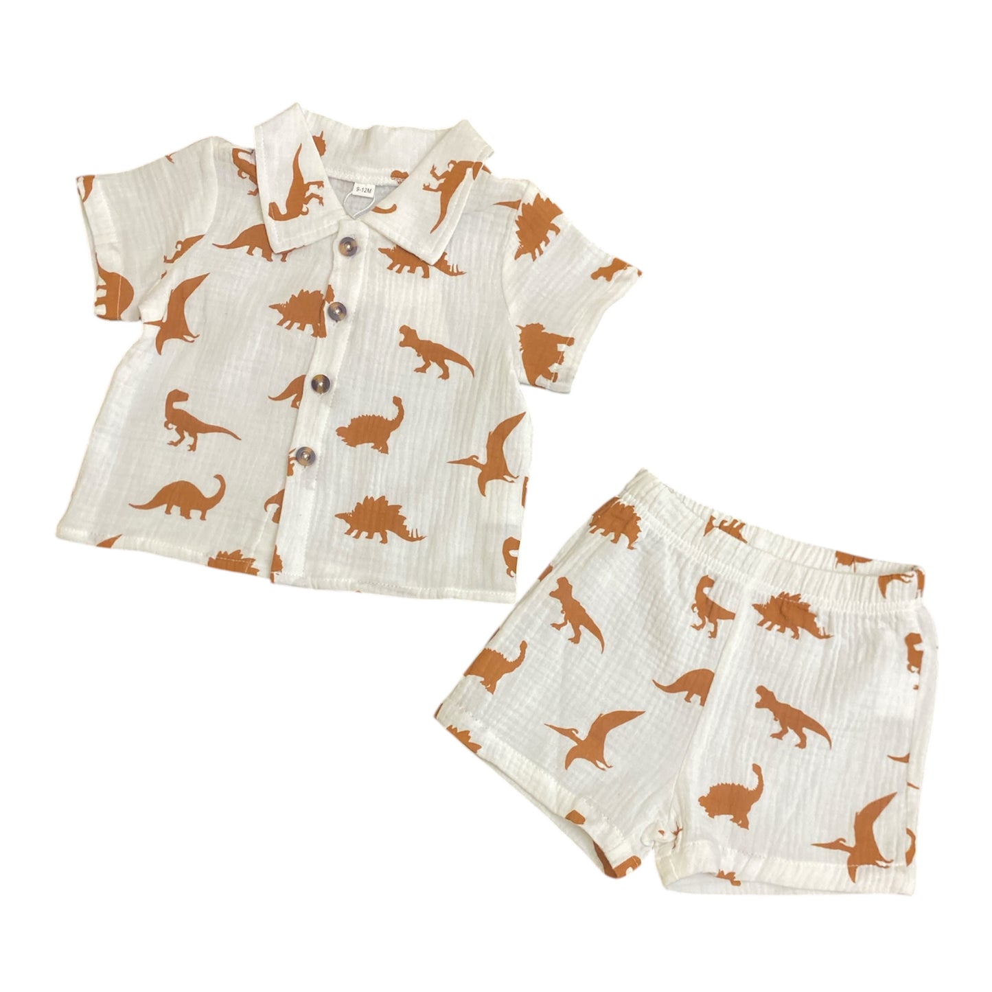 Muslin Dino Coord Set