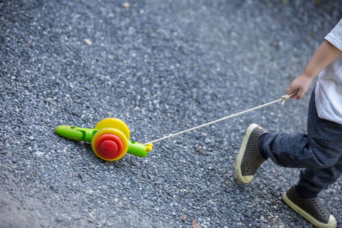 Pull-Along Snail