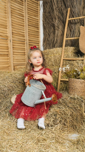 Princess Tulle Dress - Red