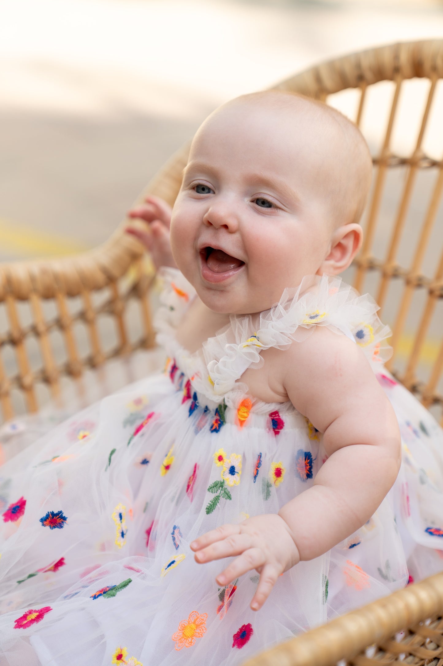 Embroidered Flower Tulle Dress