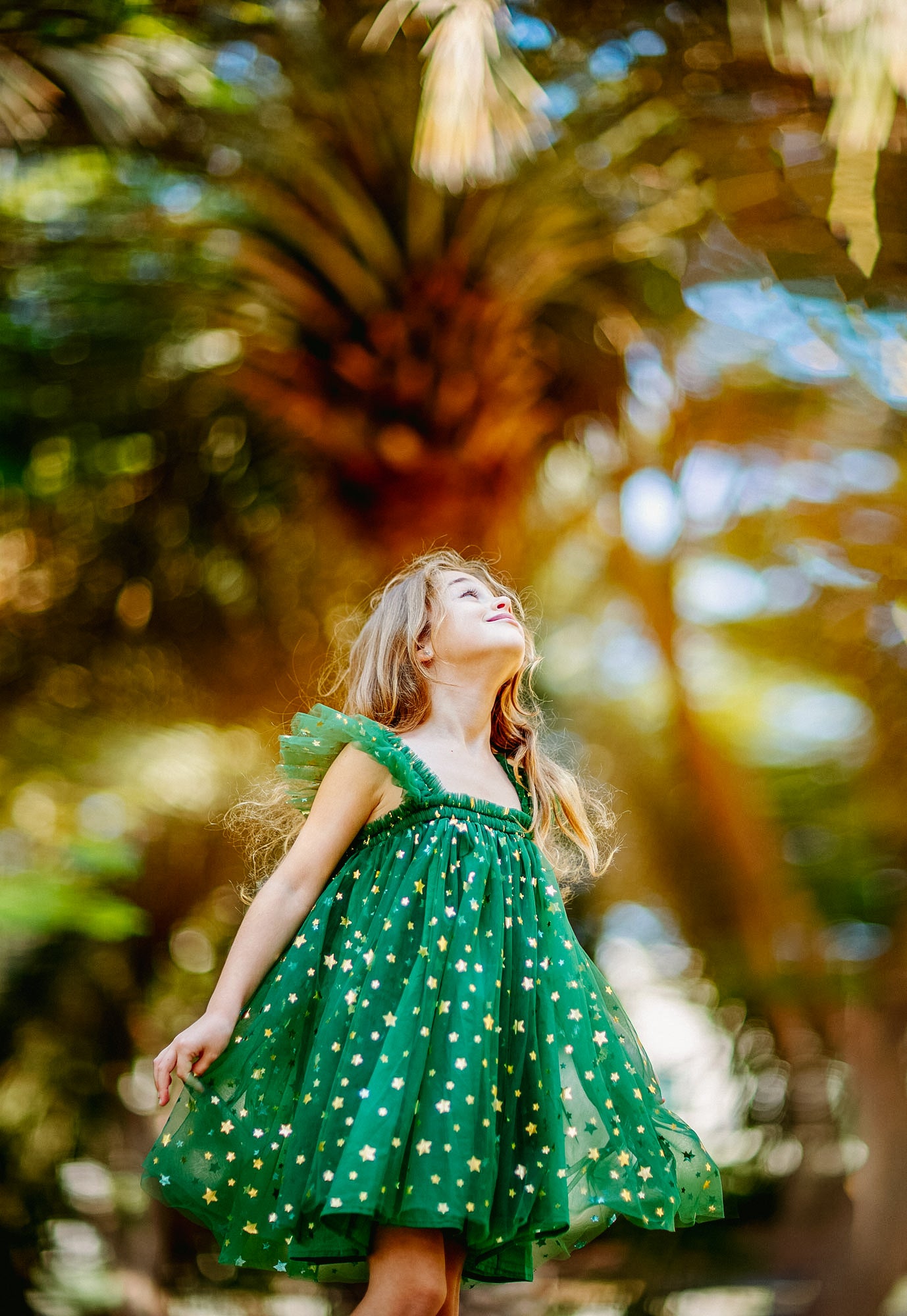 Christmas Elegant Star Dress in Green