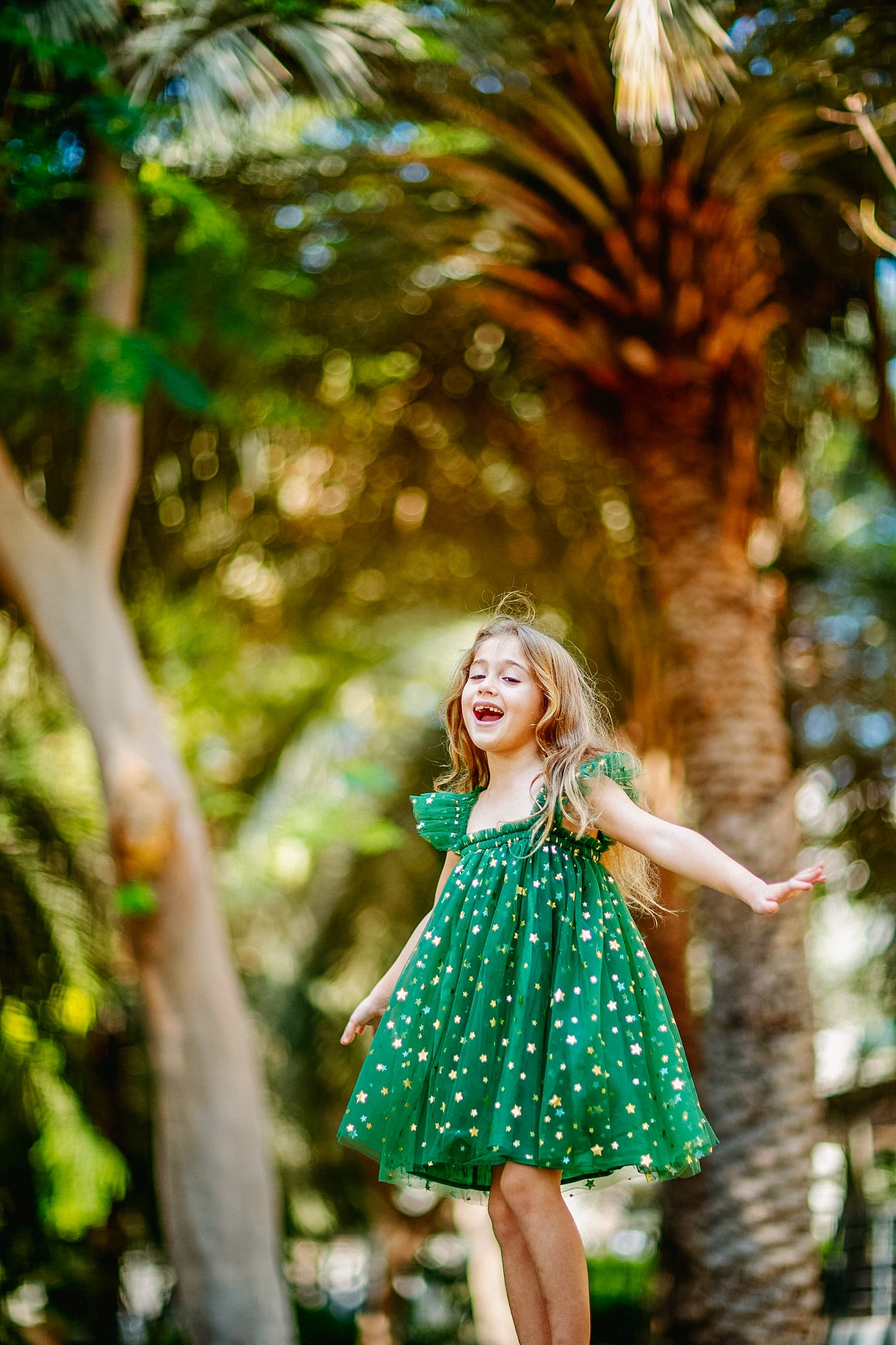 Christmas Elegant Star Dress in Green