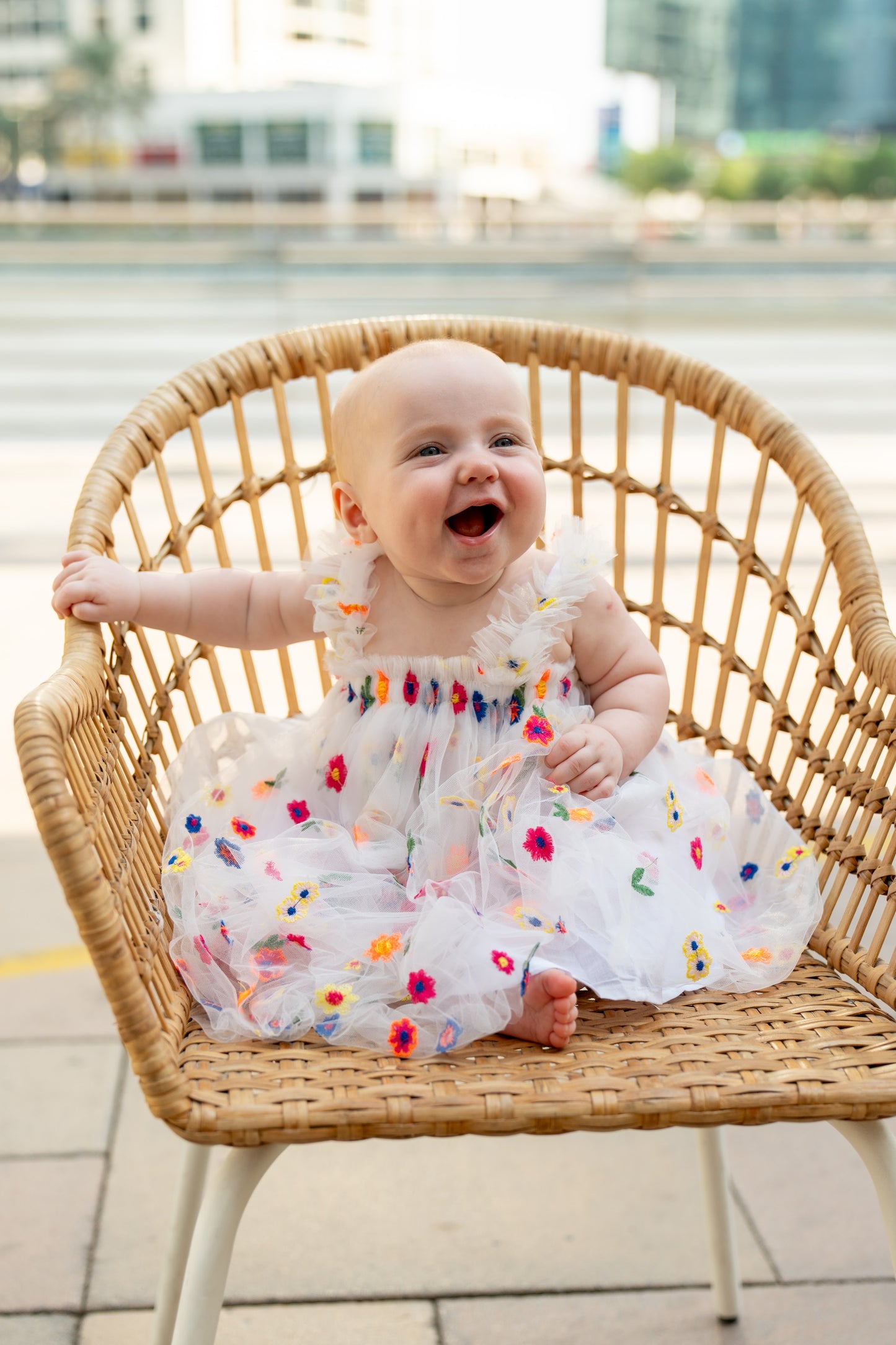 Embroidered Flower Tulle Dress
