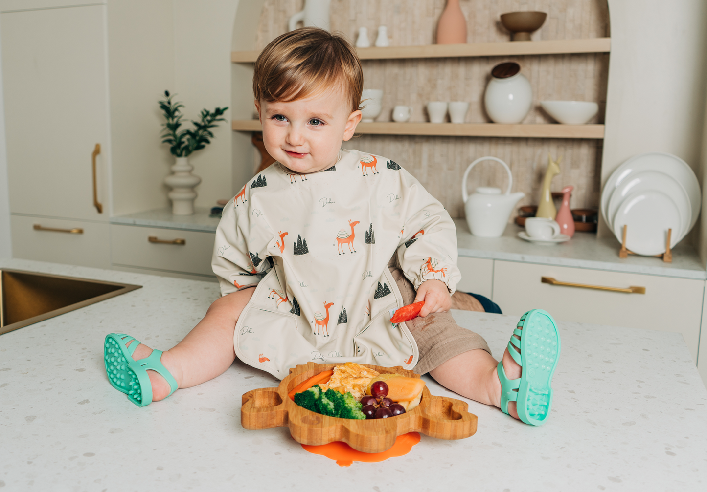 Bamboo Lion Suction Plate